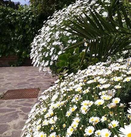 Bed & Breakfast 1959 Montesilvano Marina